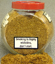 A/K Golden Vanilla